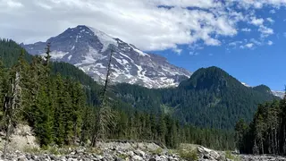 Mount Rainier rises above a dense evergreen forest with patches of snow under a partly cloudy blue sky.