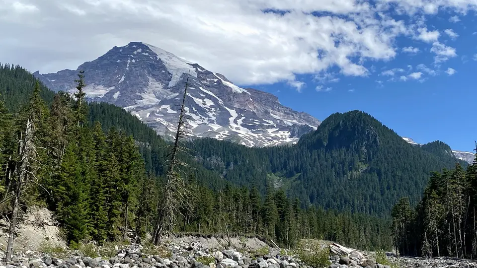 Mount Rainier rises above a dense evergreen forest with patches of snow under a partly cloudy blue sky.