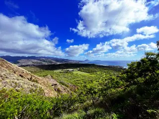 A lush green hillside overlooks a coastal city, distant mountains, and the ocean beneath a bright blue sky filled with clouds.