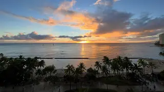 The sun sets over a calm ocean, casting a golden reflection beyond palm trees and a crowded beach.