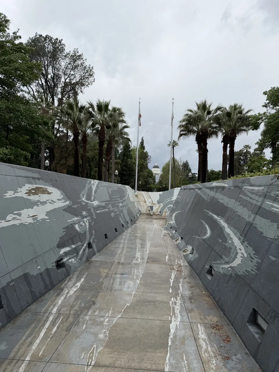 A rain-slicked memorial walkway with gray engraved walls leads through palm trees toward the California State Capitol dome.