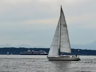 A white sailboat glides across rippling water with a cruise ship and forested shoreline in the distance.