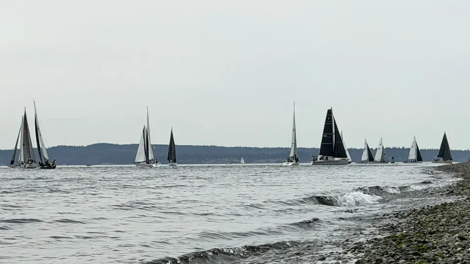 A fleet of sailboats with dark and white sails crosses choppy water beside a rocky shoreline under a pale sky.
