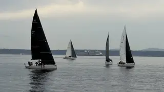 Several sailboats glide across calm water with a large cruise ship in the distance beneath a hazy sky.